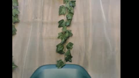 linda online show from 12/15/25, 10:52