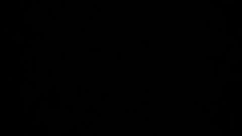 Dreamie online show from 12/05/24, 04:53