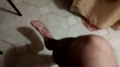 Snapshot of dthedog12 chatting on 09/22/25, 09:28 dthedog12 online show from 09/22/25, 09:28