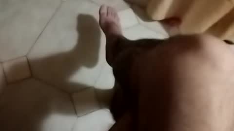 Snapshot of dthedog12 chatting on 09/30/25, 08:58 dthedog12 online show from 09/30/25, 08:58