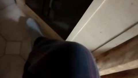 Snapshot of dthedog12 chatting on 10/16/25, 11:17 dthedog12 online show from 10/16/25, 11:17