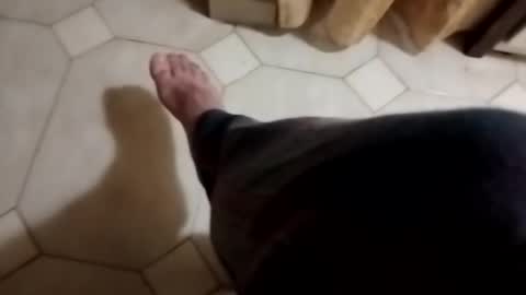 Snapshot of dthedog12 chatting on 11/04/25, 11:48 dthedog12 online show from 11/04/25, 11:48