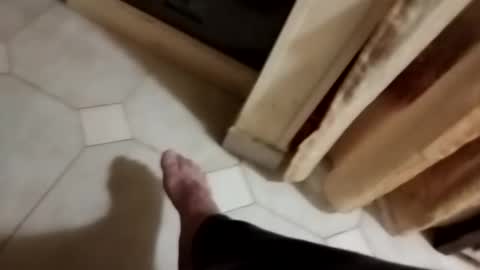 Snapshot of dthedog12 chatting on 11/08/25, 10:30 dthedog12 online show from 11/08/25, 10:30