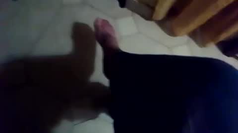 Snapshot of dthedog12 chatting on 11/25/25, 06:41 dthedog12 online show from 11/25/25, 06:41