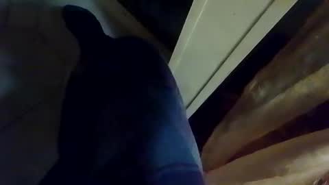 Snapshot of dthedog12 chatting on 01/09/26, 02:14 dthedog12 online show from 01/09/26, 02:14