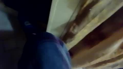 Snapshot of dthedog12 chatting on 02/04/26, 03:12 dthedog12 online show from 02/04/26, 03:12