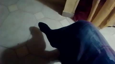 Snapshot of dthedog12 chatting on 02/08/26, 01:09 dthedog12 online show from 02/08/26, 01:09