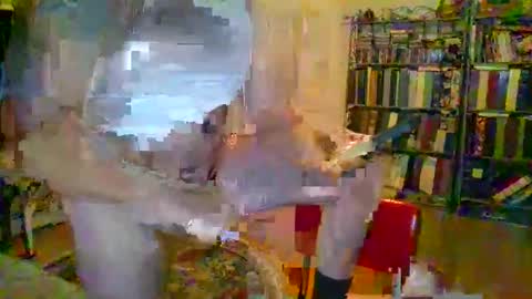 Snapshot of duallines2 chatting on 03/14/26, 05:35 duallines2 online show from 03/14/26, 05:35