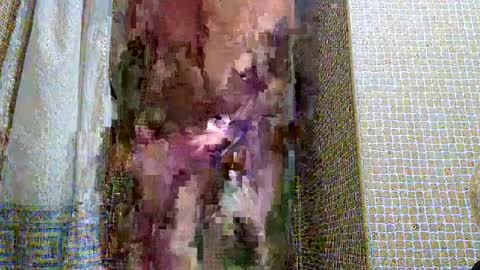 dublindub12 online show from 03/02/25, 10:03