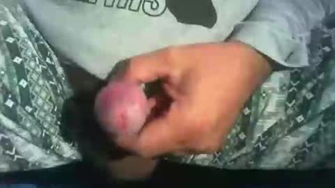 Snapshot of dude_13 chatting on 10/16/25, 04:13 dude_13 online show from 10/16/25, 04:13