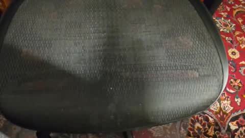 Snapshot of dudewipe chatting on 02/07/26, 07:34 dudewipe online show from 02/07/26, 07:34