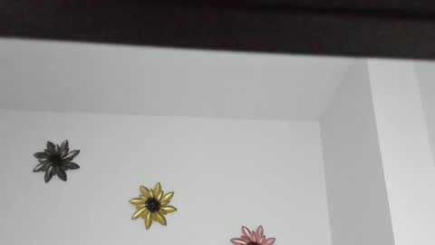 Snapshot of dulce_roberts_ chatting on 01/05/25, 02:08 Dulce  online show from 01/05/25, 02:08