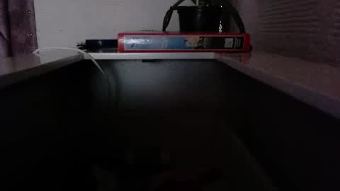 dulce_smith02 online show from 11/24/25, 05:23