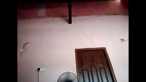 duskytamilkarthik online show from 05/16/26, 05:15