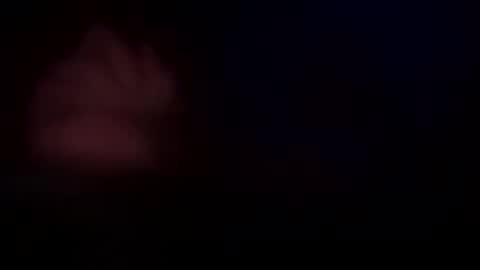 Snapshot of dvs1295 chatting on 06/10/26, 01:17 dvs1295 online show from 06/10/26, 01:17