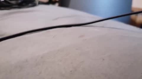 Snapshot of dwercybo chatting on 01/18/26, 09:46 ted online show from 01/18/26, 09:46