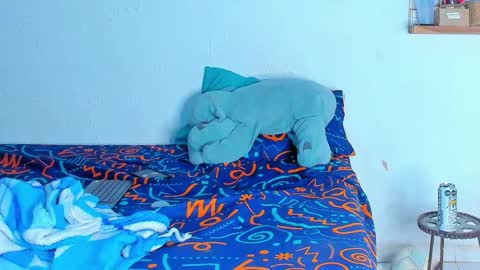 Snapshot of dylan_jake1 chatting on 02/20/26, 06:26 Dylan online show from 02/20/26, 06:26