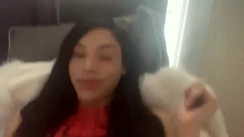 Snapshot of dynasty313 chatting on 02/04/25, 09:10 Dynasty online show from 02/04/25, 09:10