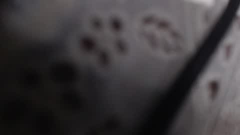 shaina online show from 07/07/26, 11:42