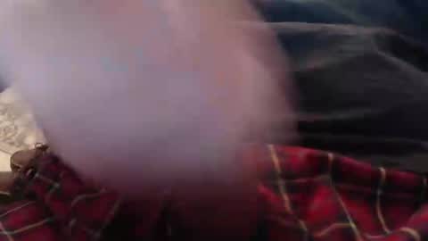 eat_a_peach2 online show from 03/04/26, 11:38