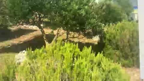 Snapshot of ebnk15 chatting on 09/30/25, 08:08 ebnk15 online show from 09/30/25, 08:08