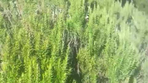 Snapshot of ebnk15 chatting on 10/21/25, 01:12 ebnk15 online show from 10/21/25, 01:12