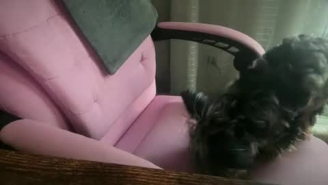 americnbarbie online show from 06/24/26, 02:38