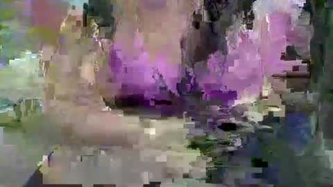 Snapshot of ebonybigtitqueen3 chatting on 11/04/25, 01:48 ebonybigtitqueen3 online show from 11/04/25, 01:48