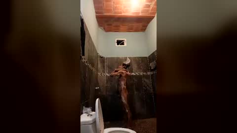 edgarsanmartin550 online show from 06/13/26, 10:13