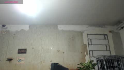 Alexander online show from 12/22/24, 04:59