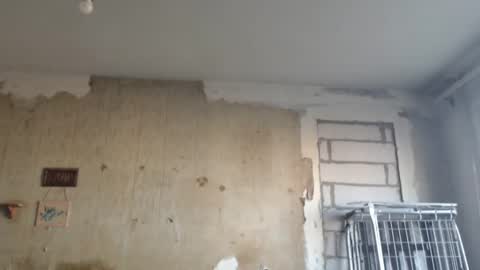 Alexander online show from 02/12/25, 01:16