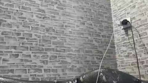 edithmanning online show from 02/27/25, 02:10