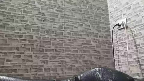 edithmanning online show from 03/06/25, 03:45