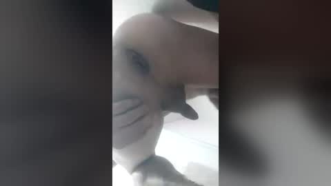 eduardo76391 online show from 06/28/26, 04:29