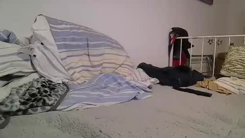 EdM online show from 02/12/26, 10:16