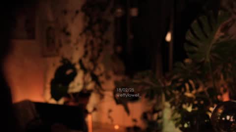 Effy online show from 02/19/25, 12:46