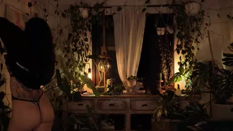 Effy online show from 11/11/25, 12:10