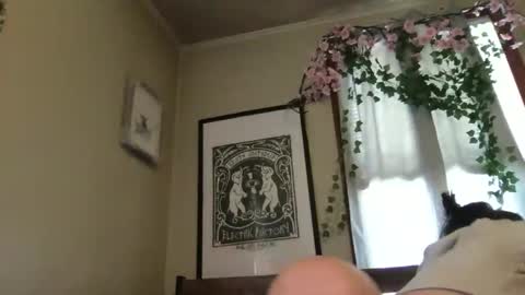 eggnog_and_booty online show from 05/12/26, 07:44