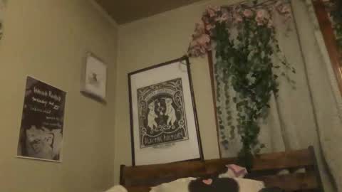 eggnog_and_booty online show from 05/18/26, 04:07