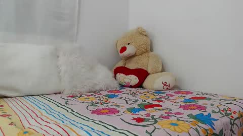Snapshot of eileenmost chatting on 12/19/24, 11:46 eileenmost online show from 12/19/24, 11:46