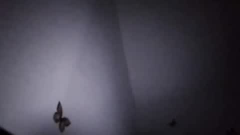 Snapshot of ekspansion chatting on 01/08/26, 04:37 Ekspansion online show from 01/08/26, 04:37