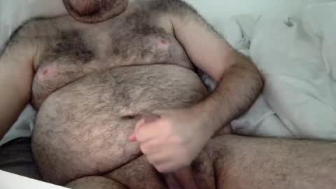 Snapshot of elago chatting on 08/02/26, 04:16 elabear online show from 08/02/26, 04:16