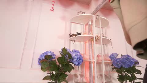 Elasummeer online show from 02/14/26, 11:51