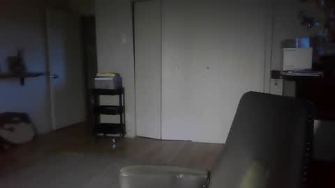 fox online show from 12/30/24, 12:32