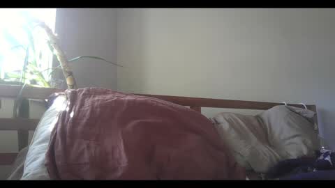 fox online show from 02/11/25, 09:14