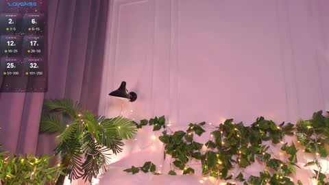 Elfa online show from 01/22/25, 12:17