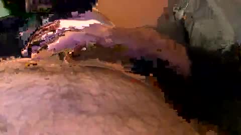 Snapshot of elgato66699 chatting on 04/20/26, 04:59 elgato66699 online show from 04/20/26, 04:59