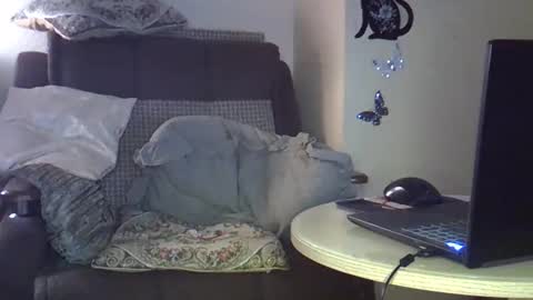 Snapshot of ellajohnsonx chatting on 03/15/26, 09:32 ellajohnsonx online show from 03/15/26, 09:32