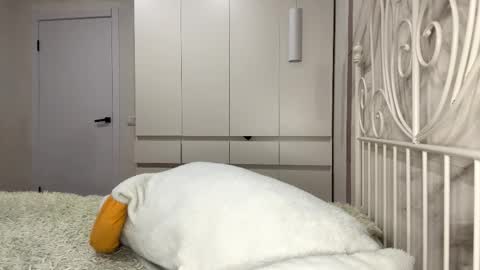 Rosa online show from 01/06/26, 01:04