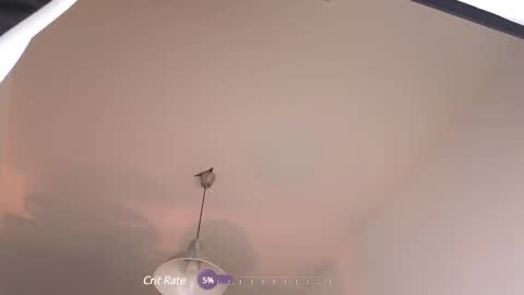 Snapshot of elliefrost chatting on 02/12/25, 12:37 elliefrost online show from 02/12/25, 12:37